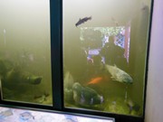 Výlet do ZOO Chleby a Labyrintária Loučeň